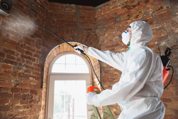 Asbestos and Lead Testing During Mold Inspection in Brazoria, TX